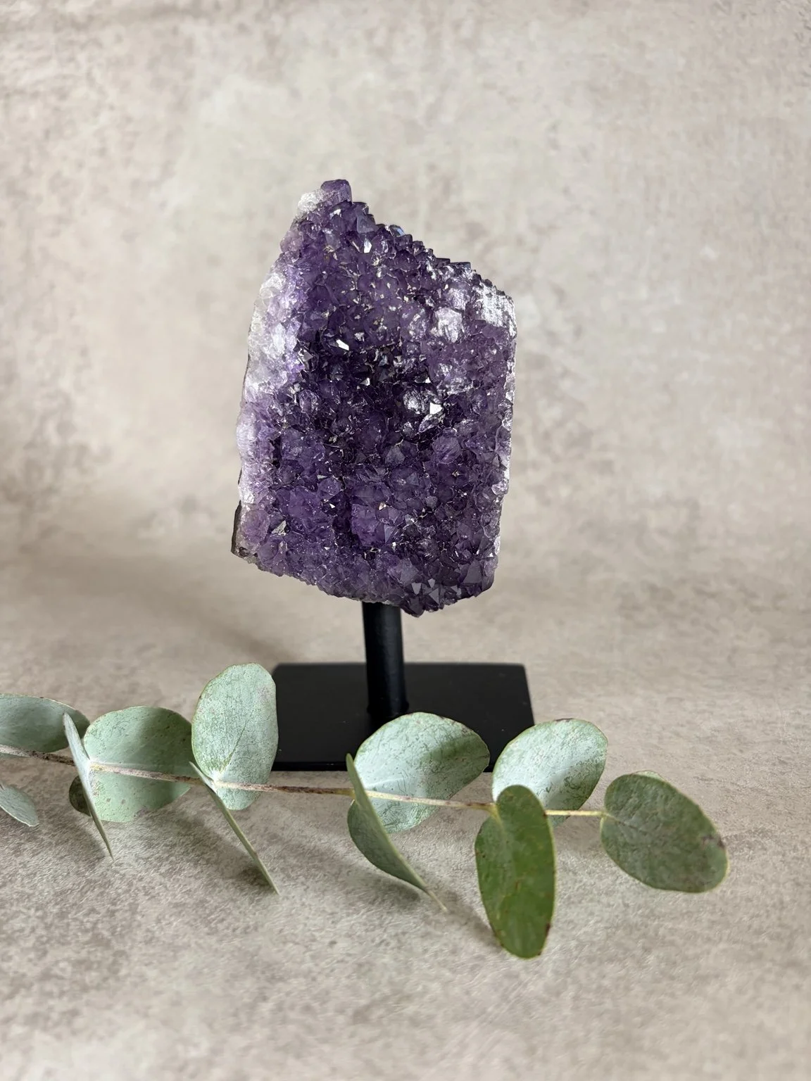 amethist op standaard met eucalyptus ernaast