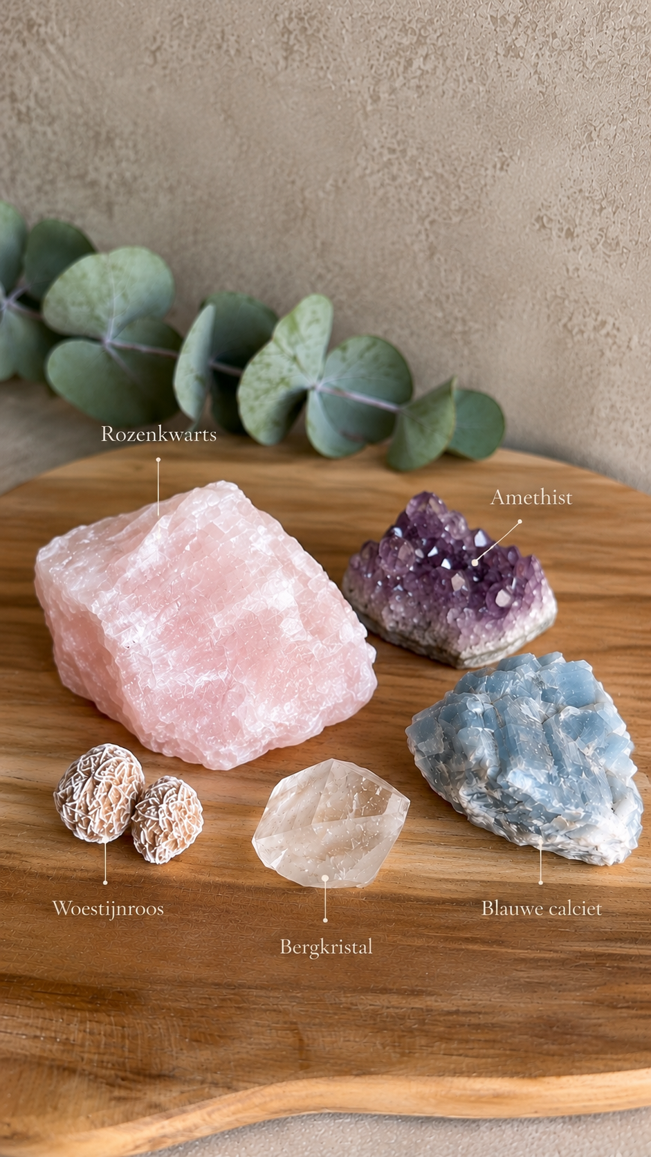 The Soft Collection