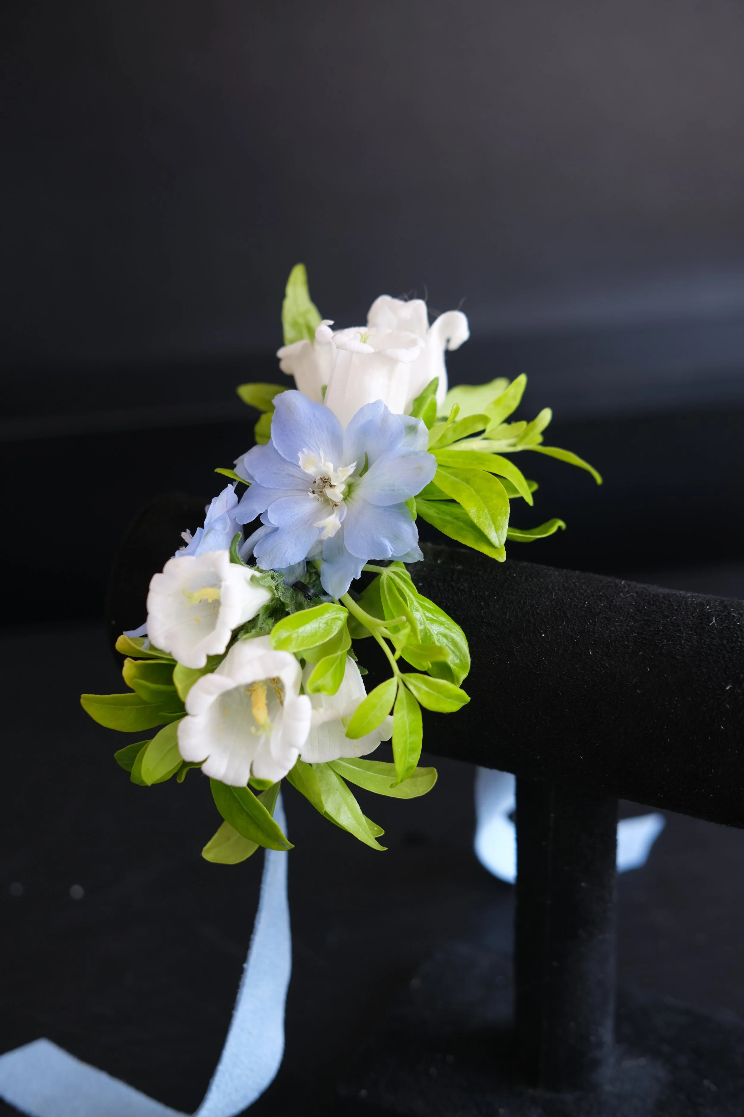 DSCF3750.JPG