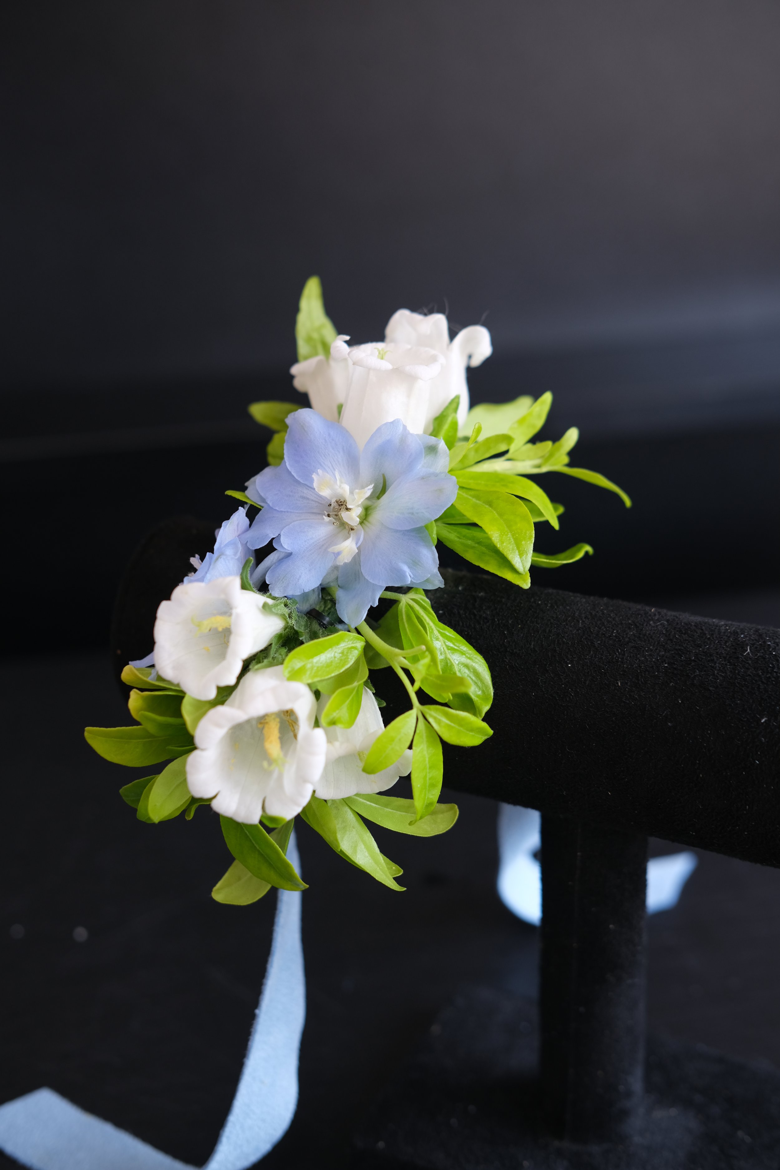 DSCF3750.JPG