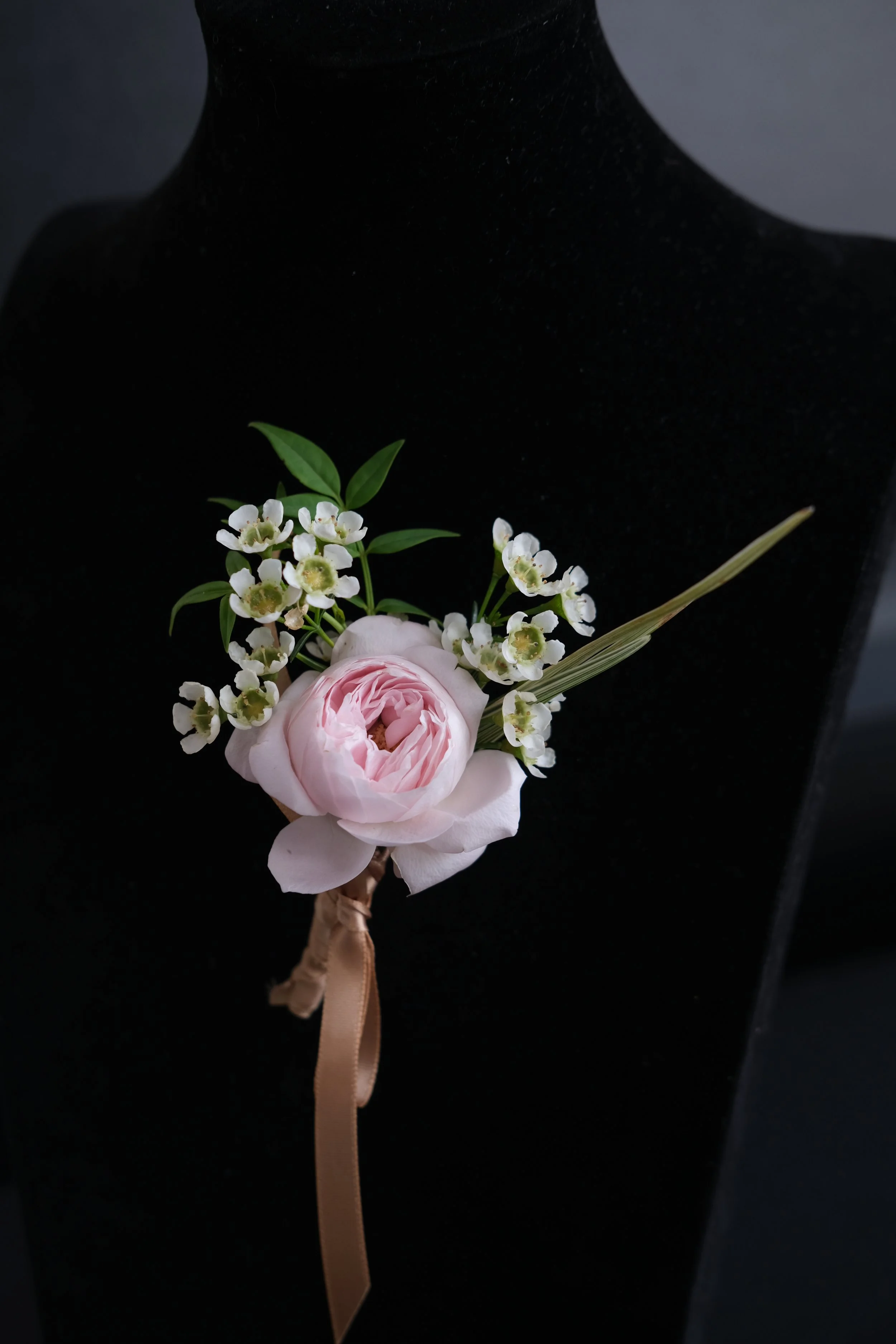 DSCF3797.JPG