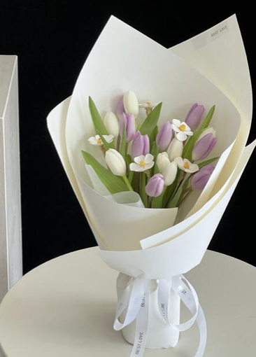Tulip Collection