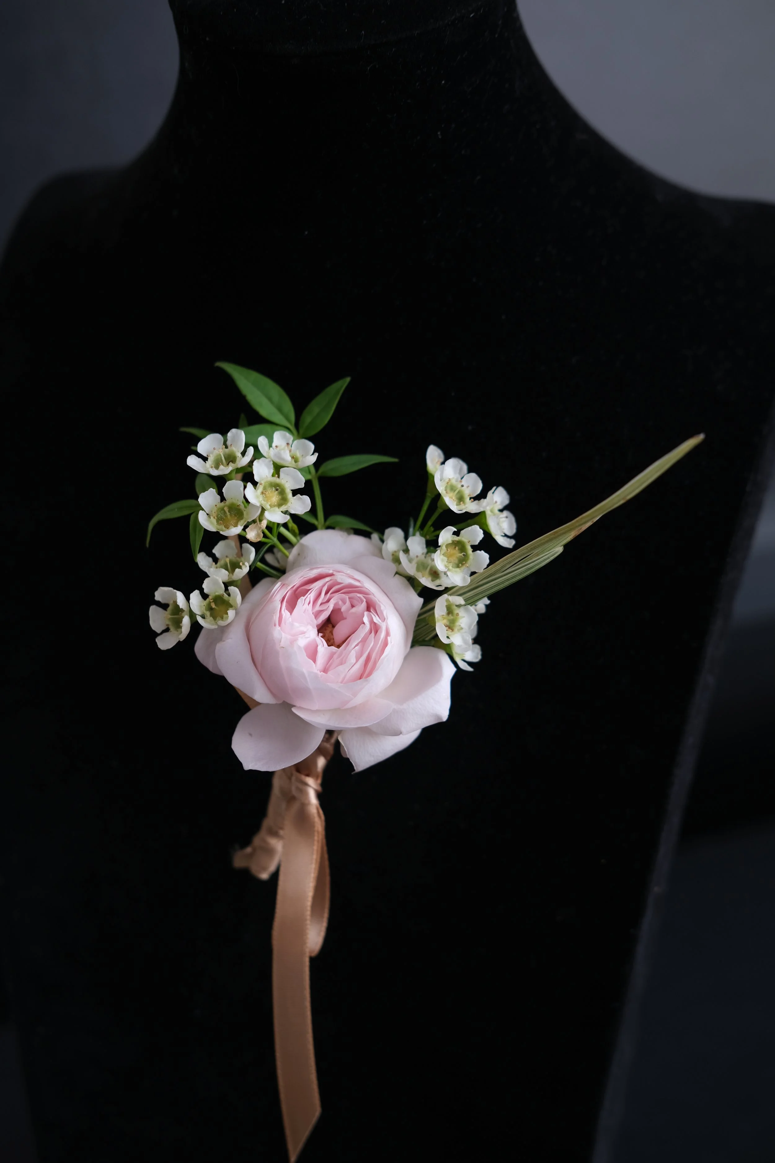 DSCF3795.JPG
