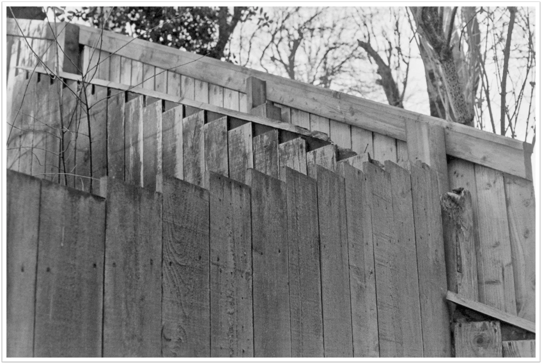 "Fortress Fence," Scotland. W. Gyurko. 