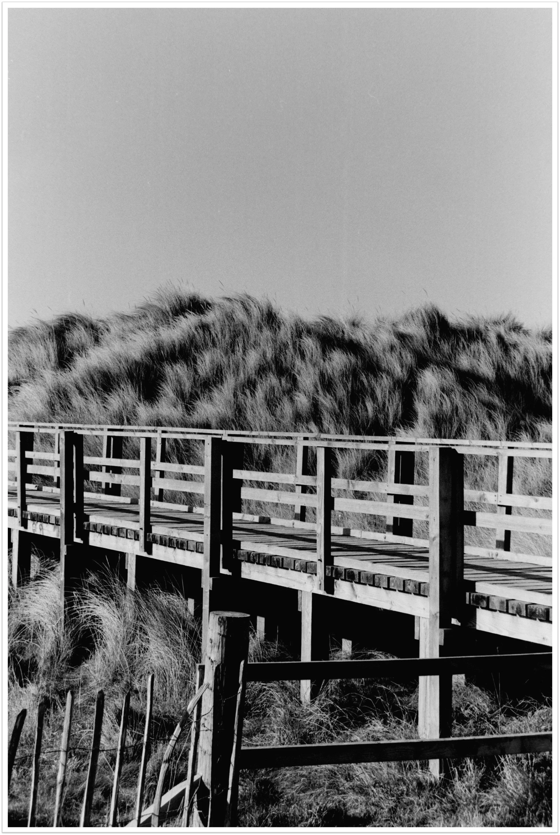 Beach Boardwalk Matted.jpg