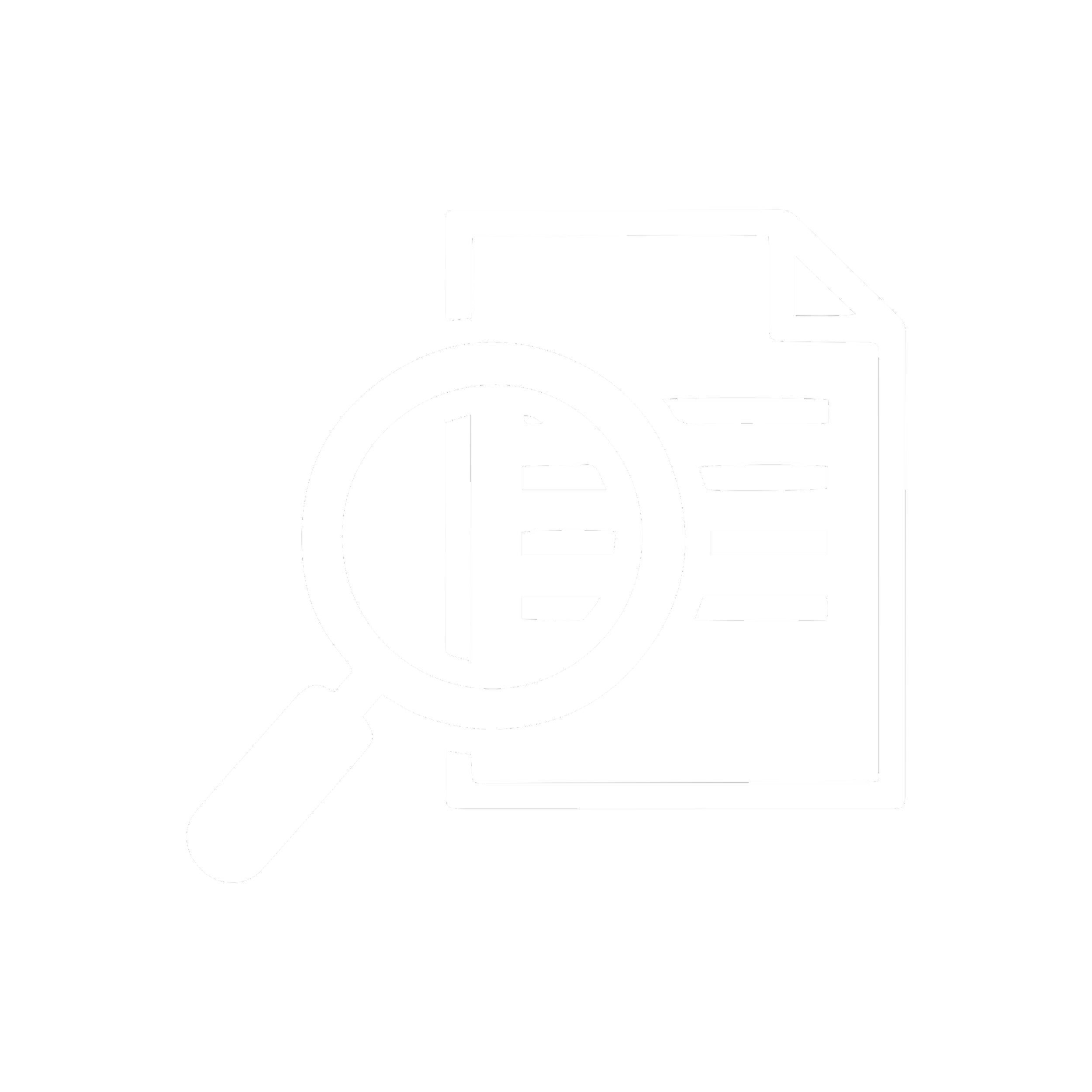 Icon of a document with lines and a magnifying glass examining the document.