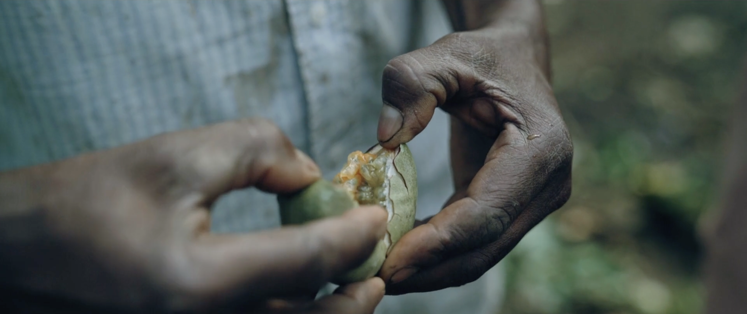 Screenshot 2026-03-17 at 1.11.22 PM.png