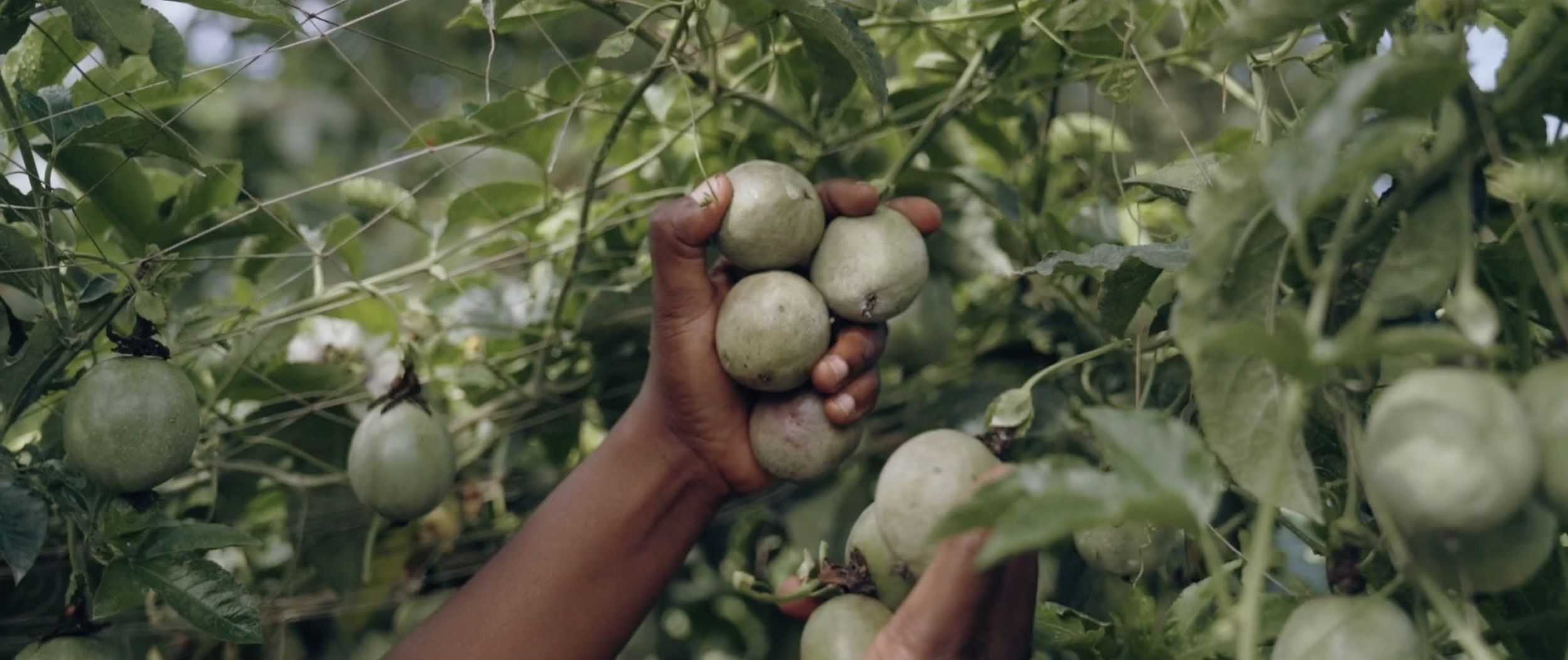 Screenshot 2026-03-17 at 1.11.02 PM.png