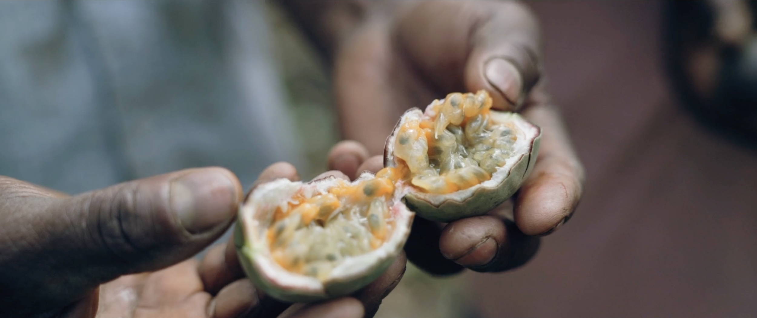 Screenshot 2026-03-17 at 1.11.36 PM.png