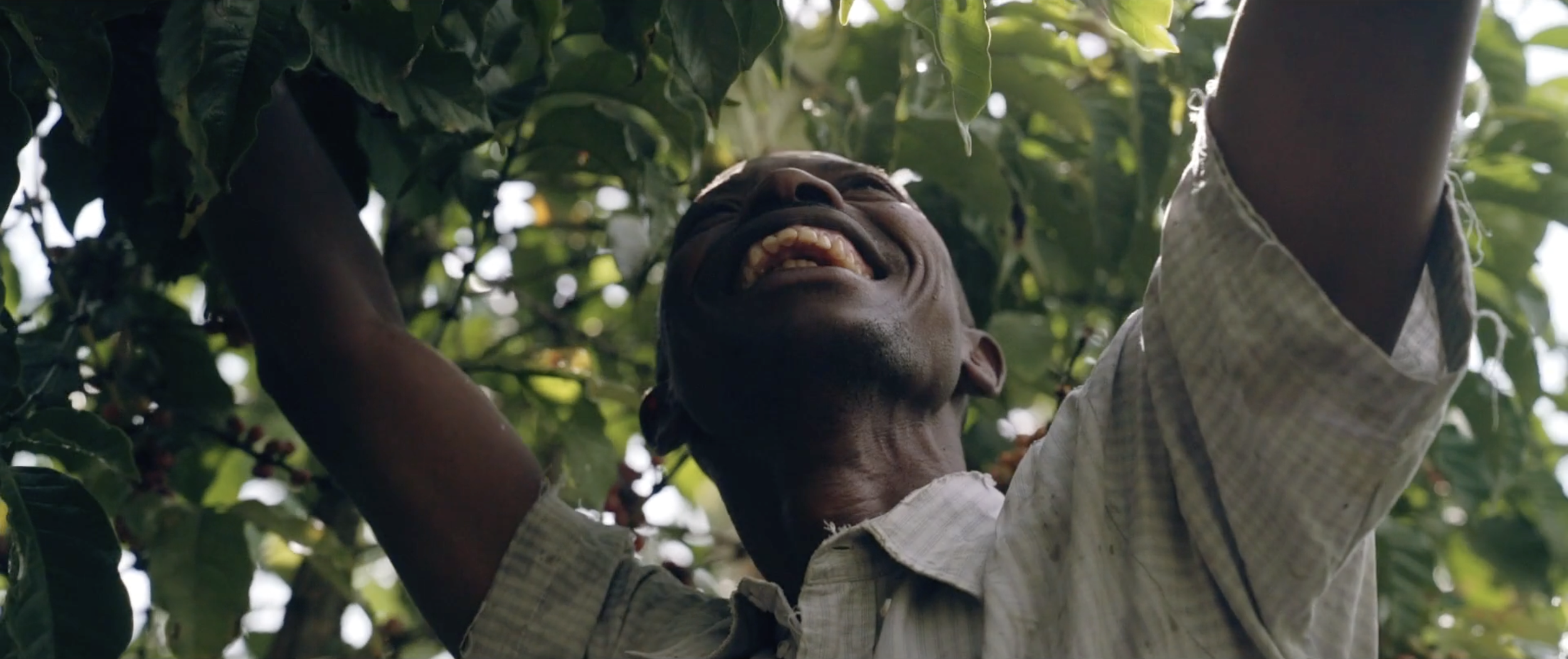 Screenshot 2026-03-17 at 1.11.54 PM.png