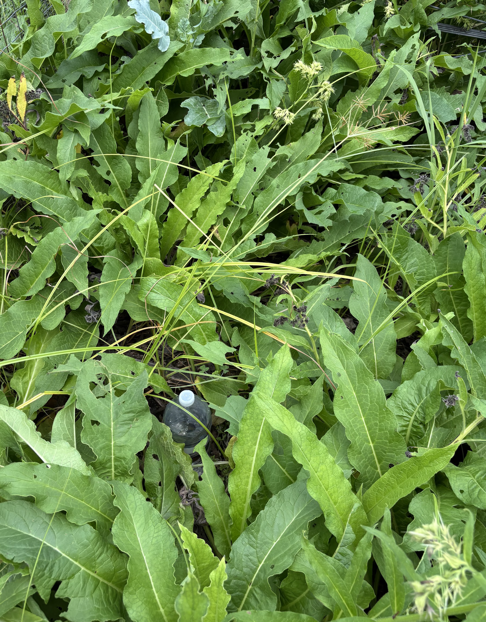 Screenshot 2026-03-24 at 7.10.24 pm.png