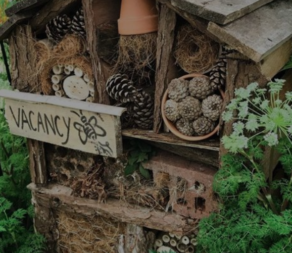 Build a Bug Hotel