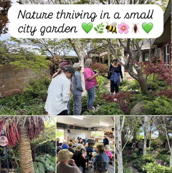 October 2025 Newsletter