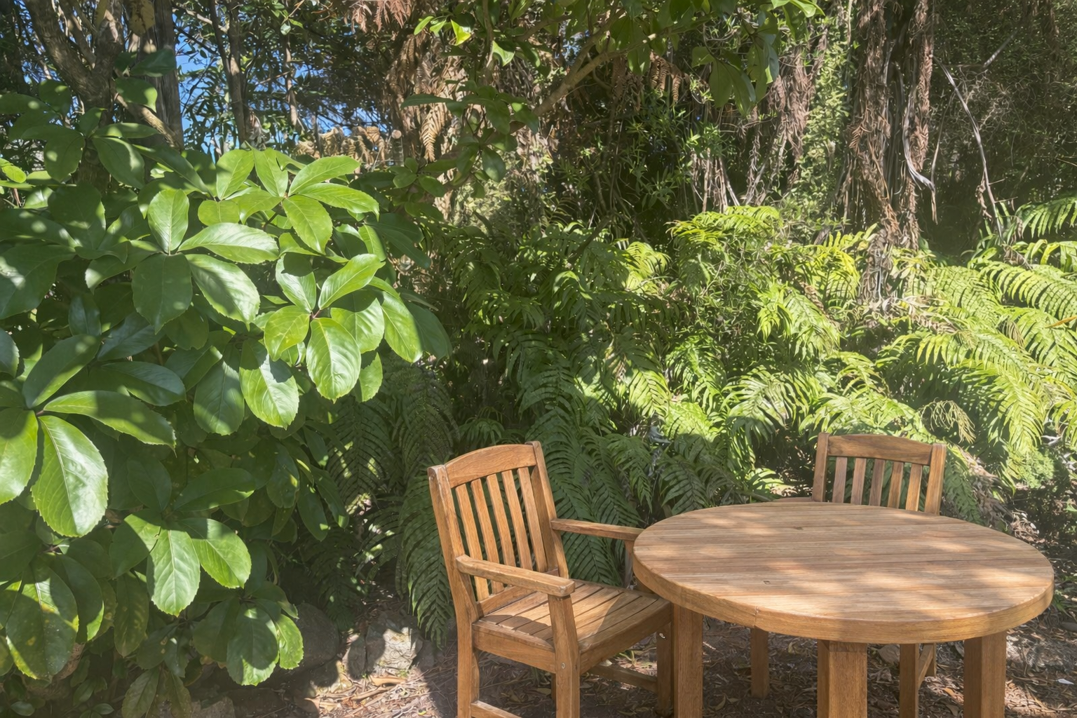 Space for Nature in a backyard
