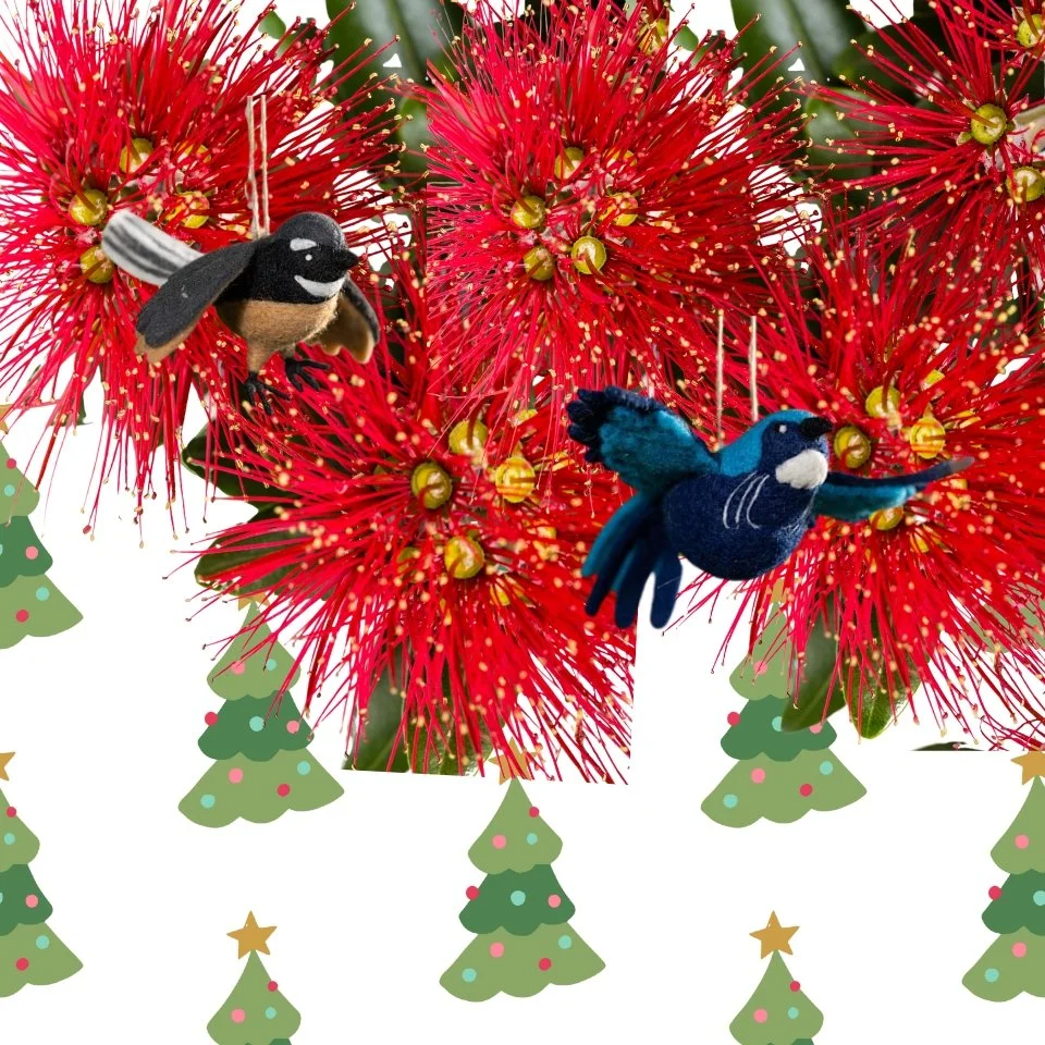 December 2025 Newsletter