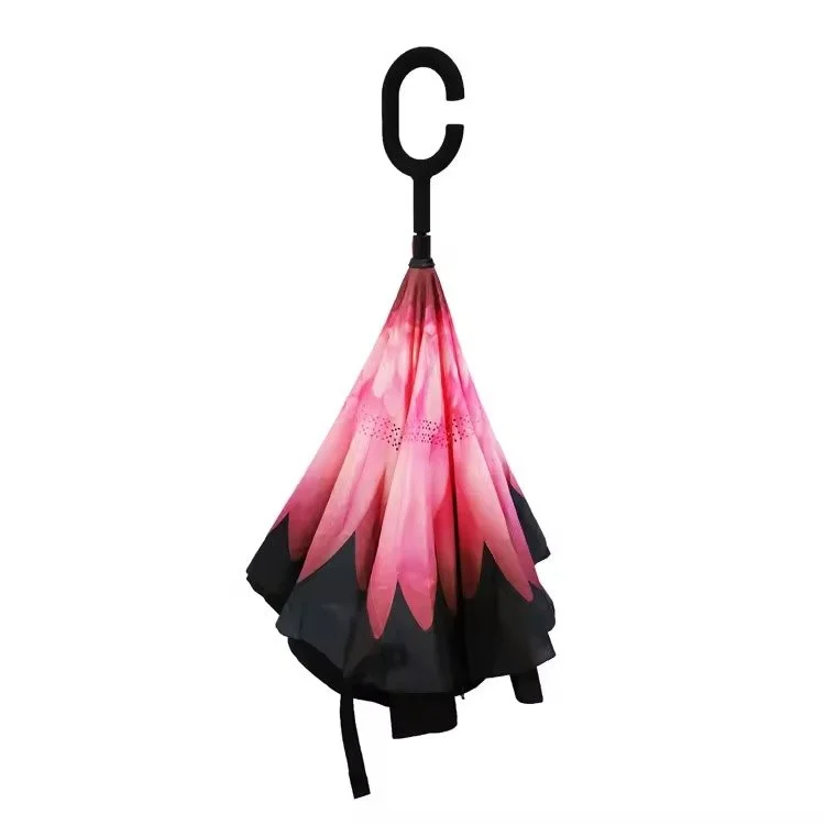umbrella (1).jpg