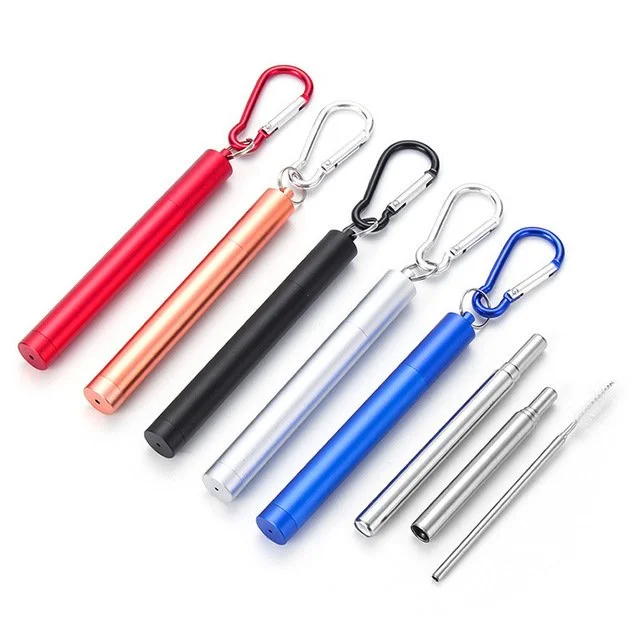 Telescopic Stainless Steel Straw Keychain