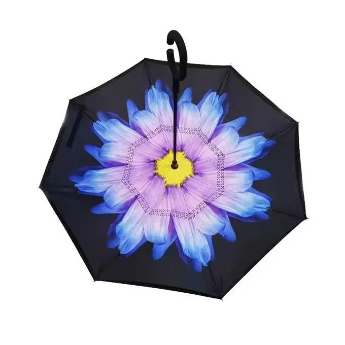 umbrella (3).jpg