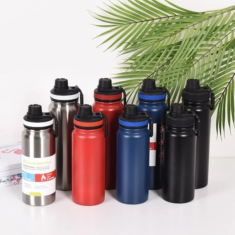 Double Wall Vacuum Insulated Bottle