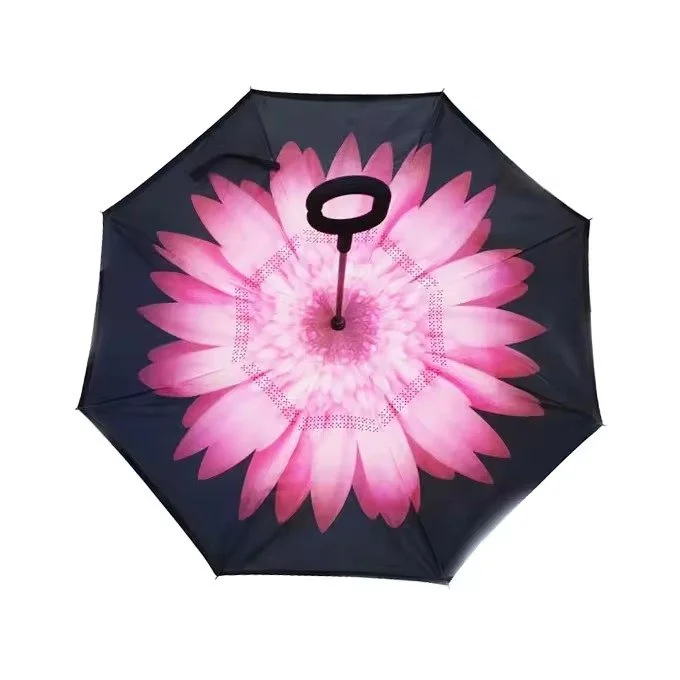 umbrella (4).jpg
