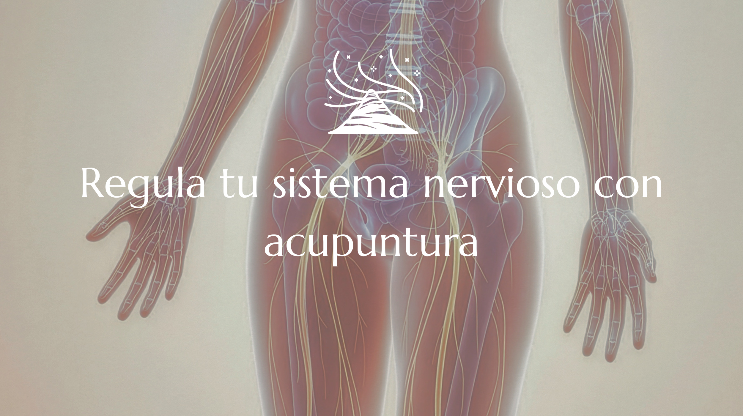 Estrés, ansiedad y sistema nervioso: cómo la acupuntura puede apoyar tu equilibrio
