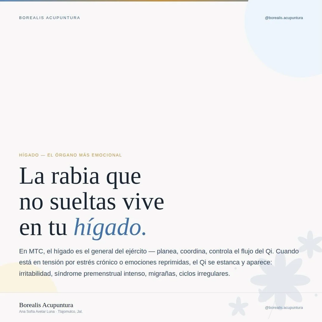 La rabia tambi&eacute;n necesita un lugar para moverse. 🌿

En Medicina Tradicional China, el H&iacute;gado es conocido como &ldquo;el General del ej&eacute;rcito&rdquo;: planifica, coordina y mantiene el libre flujo del Qi por todo el cuerpo.

Cuand