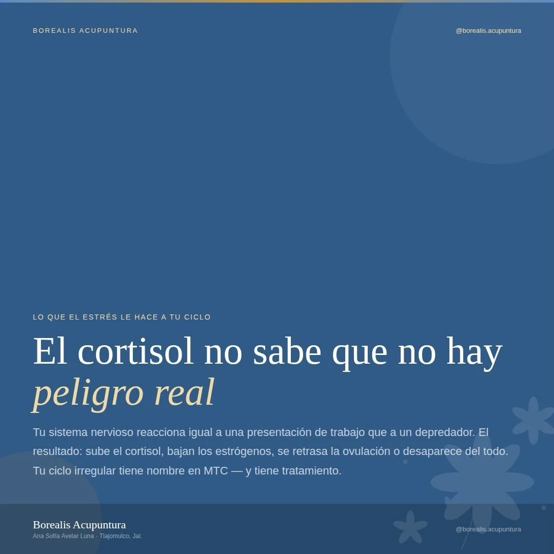 El estr&eacute;s tambi&eacute;n puede hablar a trav&eacute;s de tu ciclo.

No todo estr&eacute;s se siente como ansiedad. A veces aparece como cambios en la duraci&oacute;n del ciclo, retrasos, sangrados irregulares o una ovulaci&oacute;n que se alte