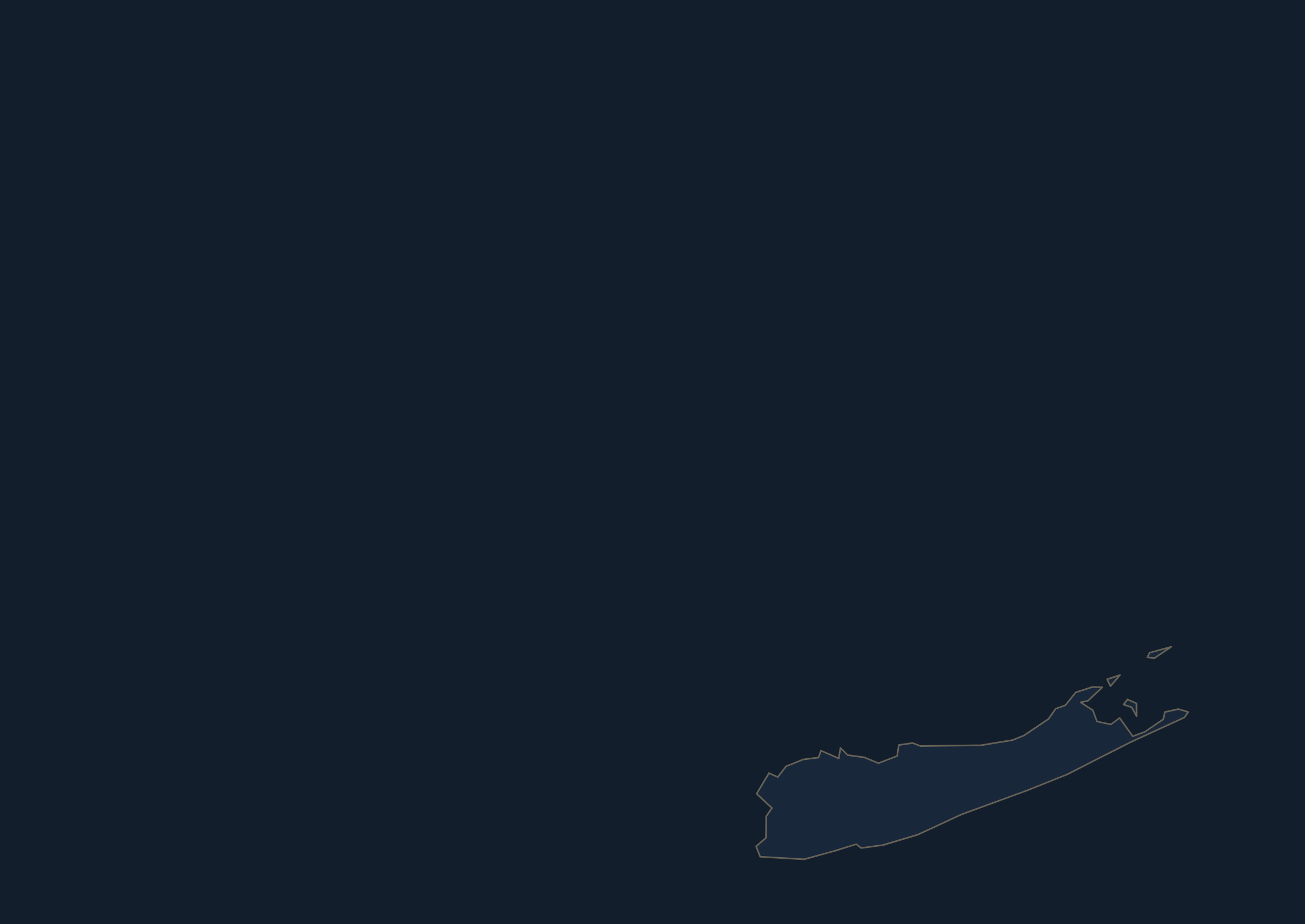 Outline of Long Island on a navy background