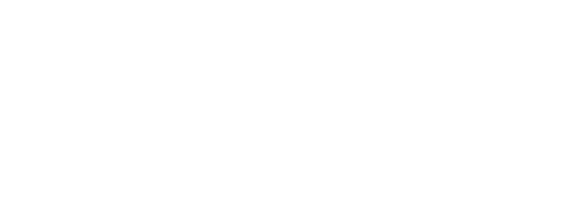 The Essential Practice