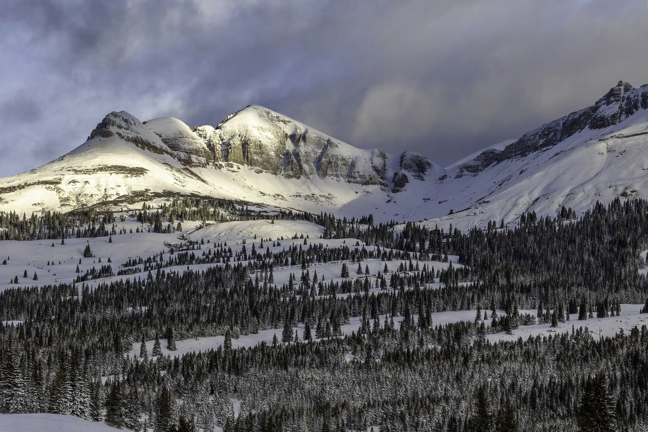 Snow-covered mountains with a forested slope in the foreground and dark clouds overhead.