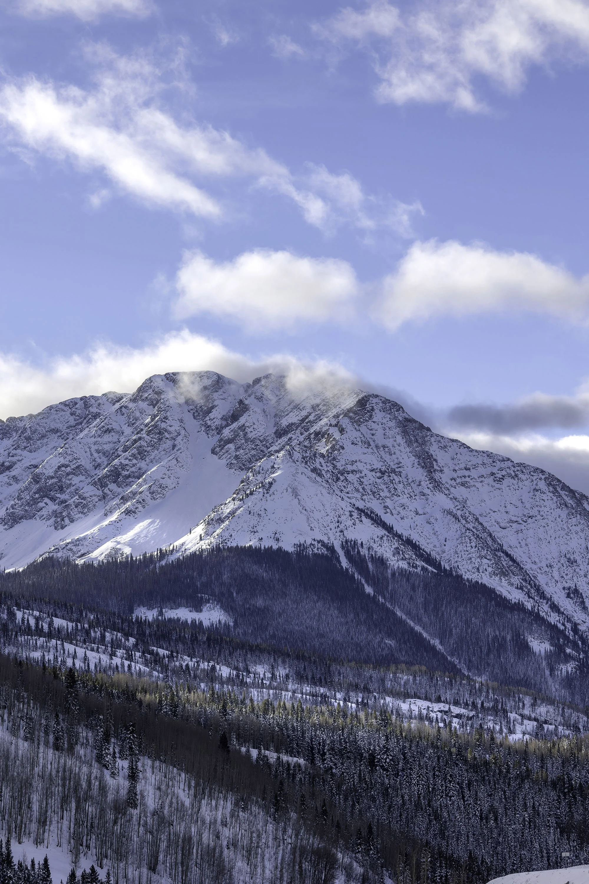 Snow-covered mountain with a blue sky and clouds above, forested slopes in the foreground.