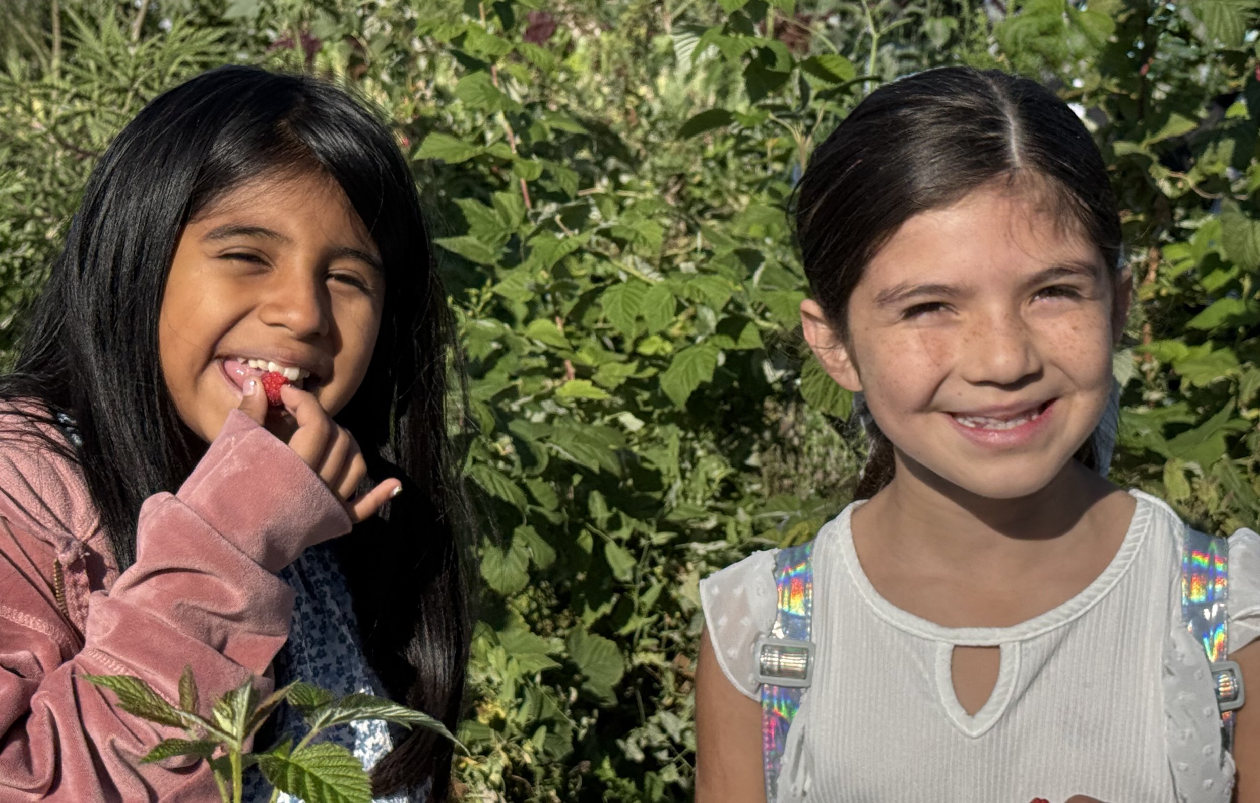 Two young girls smiling outdoors surrounded by green foliage, one girl is holding a raspberry and the other is wearing a white shirt with rainbow-colored accents.