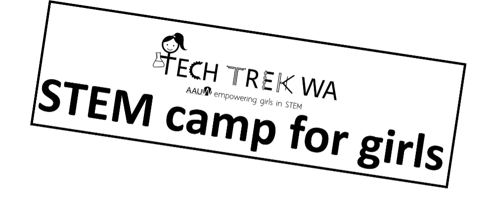 Logo featuring a cartoon girl with a laptop and the text 'Tech Trek WA' and 'And empowering girls in STEM'.