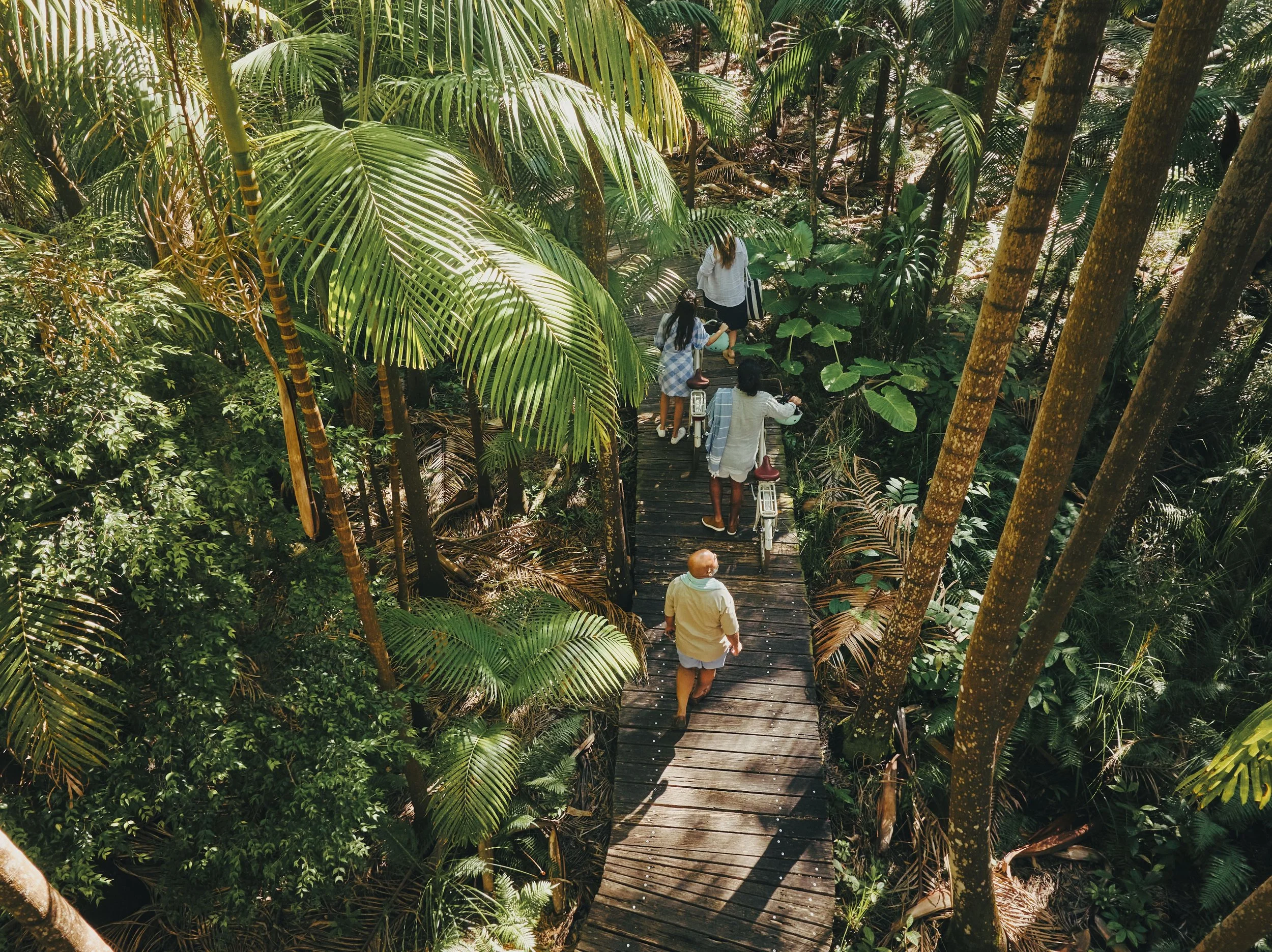Byron Bay rainforest walk