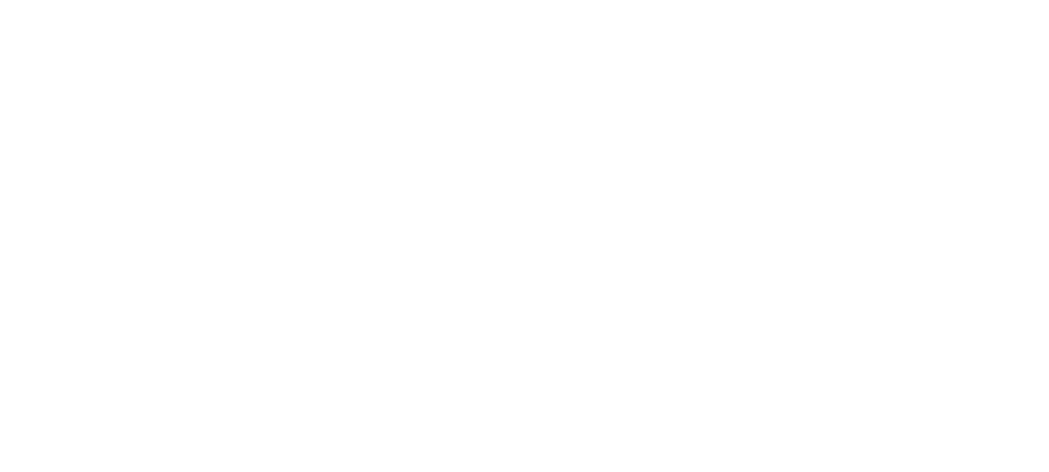 Rock City Cares