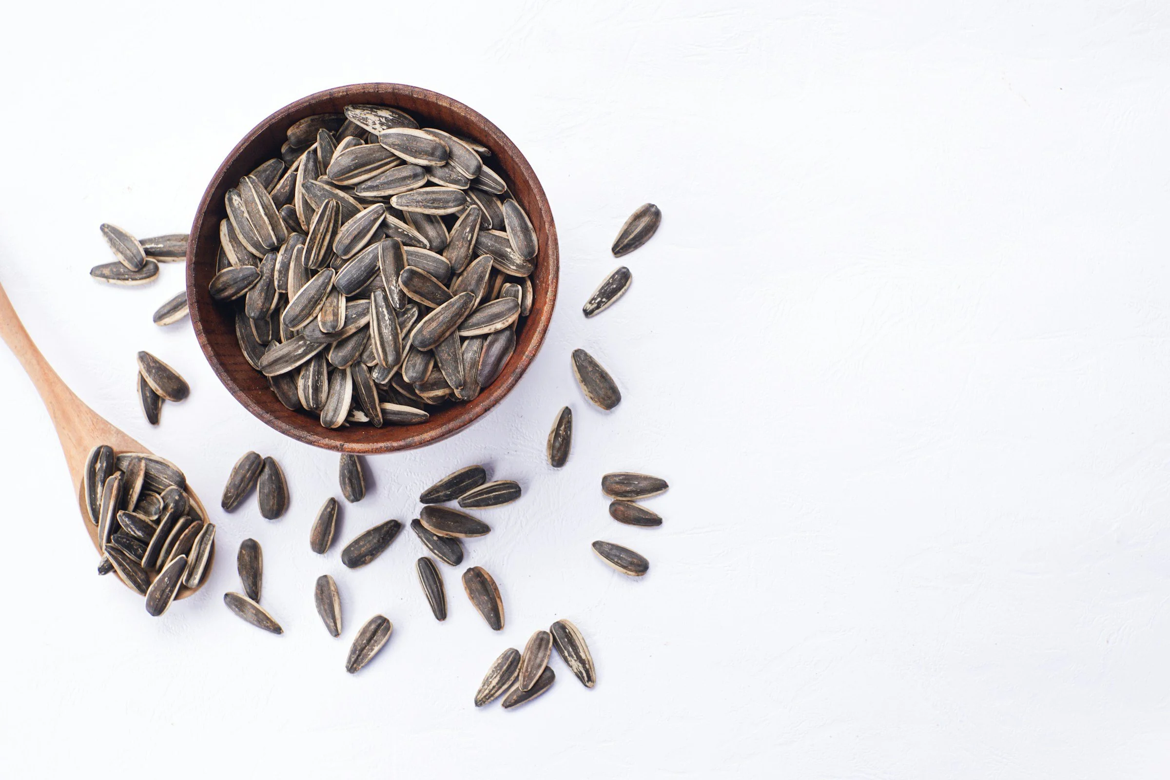 What are seed oils and why we ban them from our vending machines