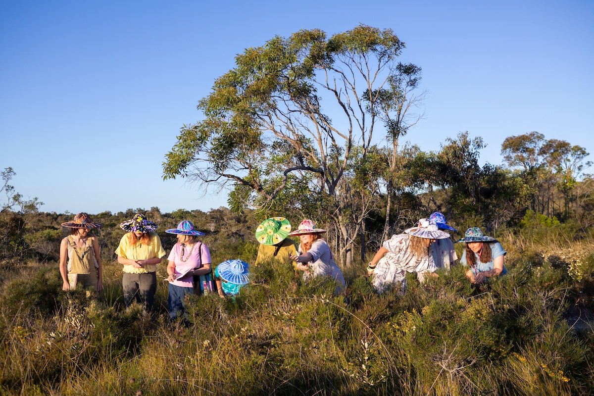 Image attribution...