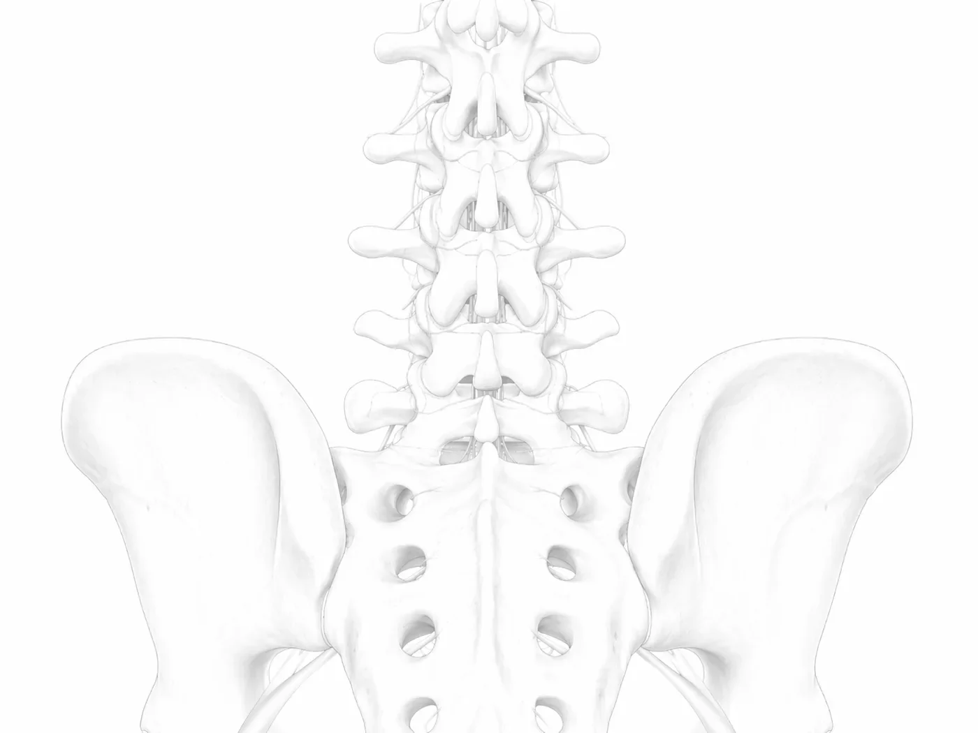 Abstract lumbar spine image representing treatment planning.