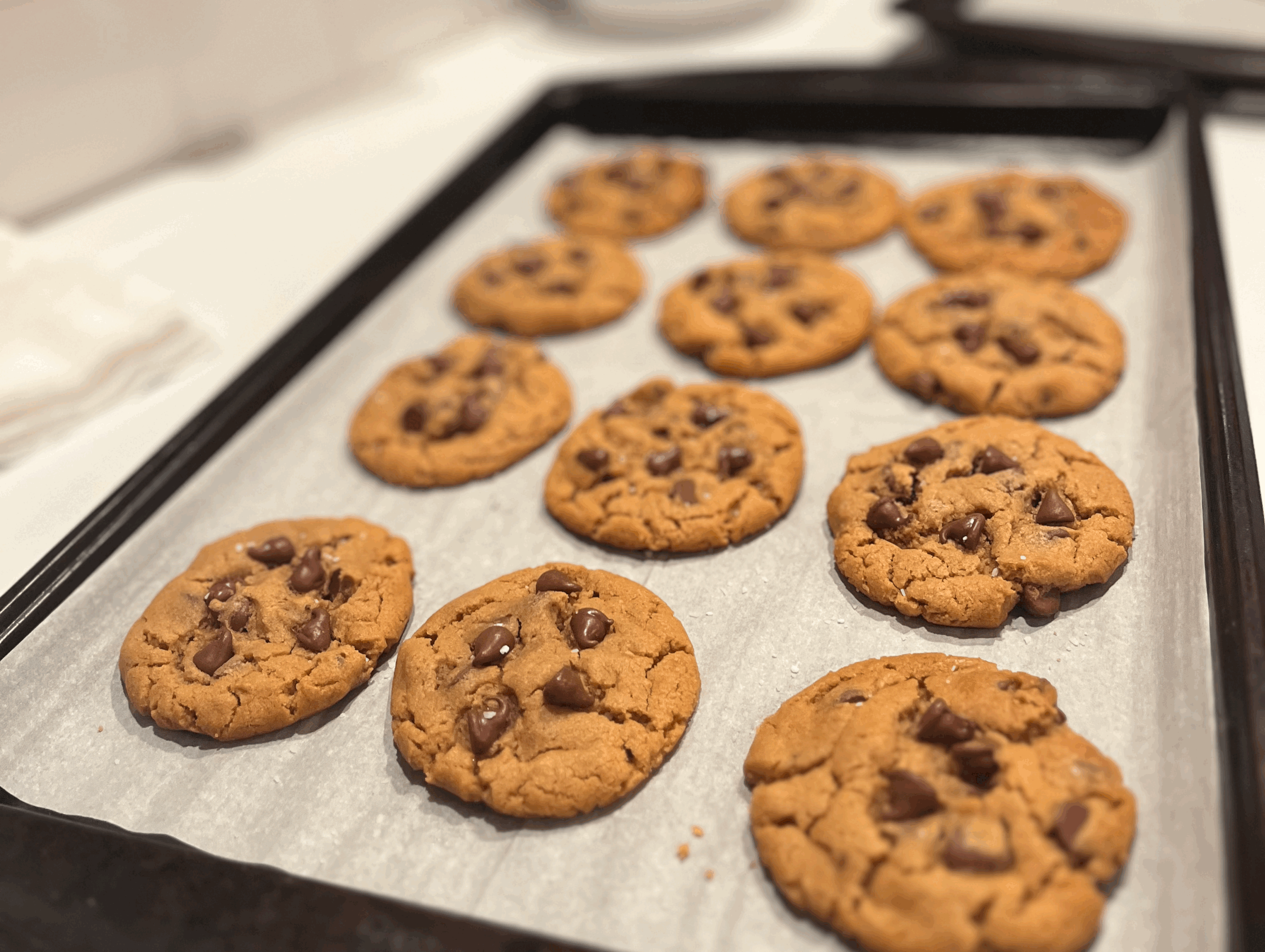 Peanut Butter Chocolate Chip Cookies