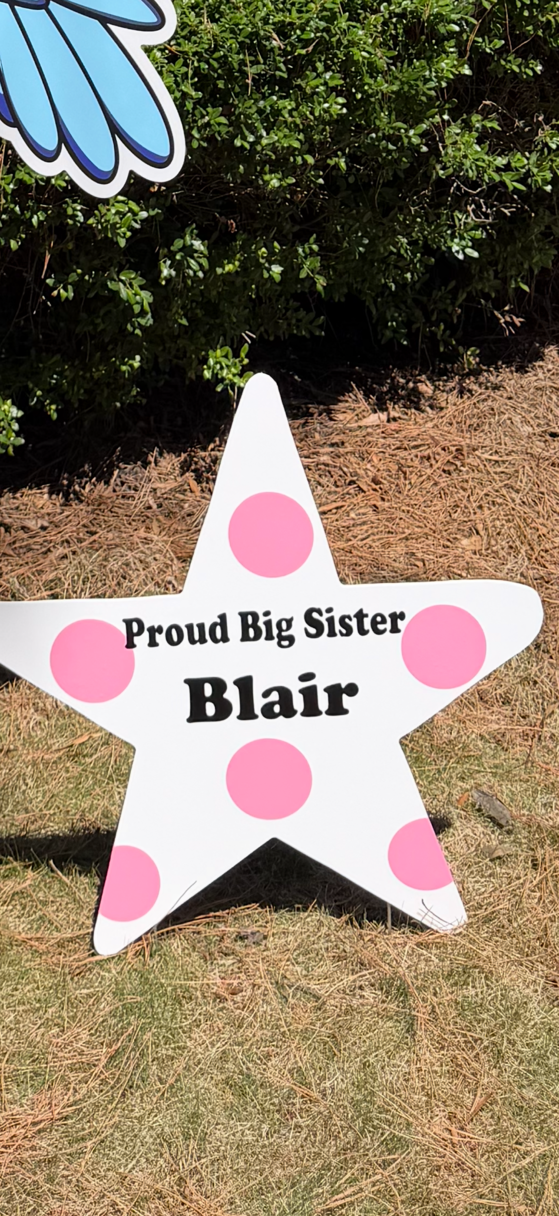 Big Sibling Star