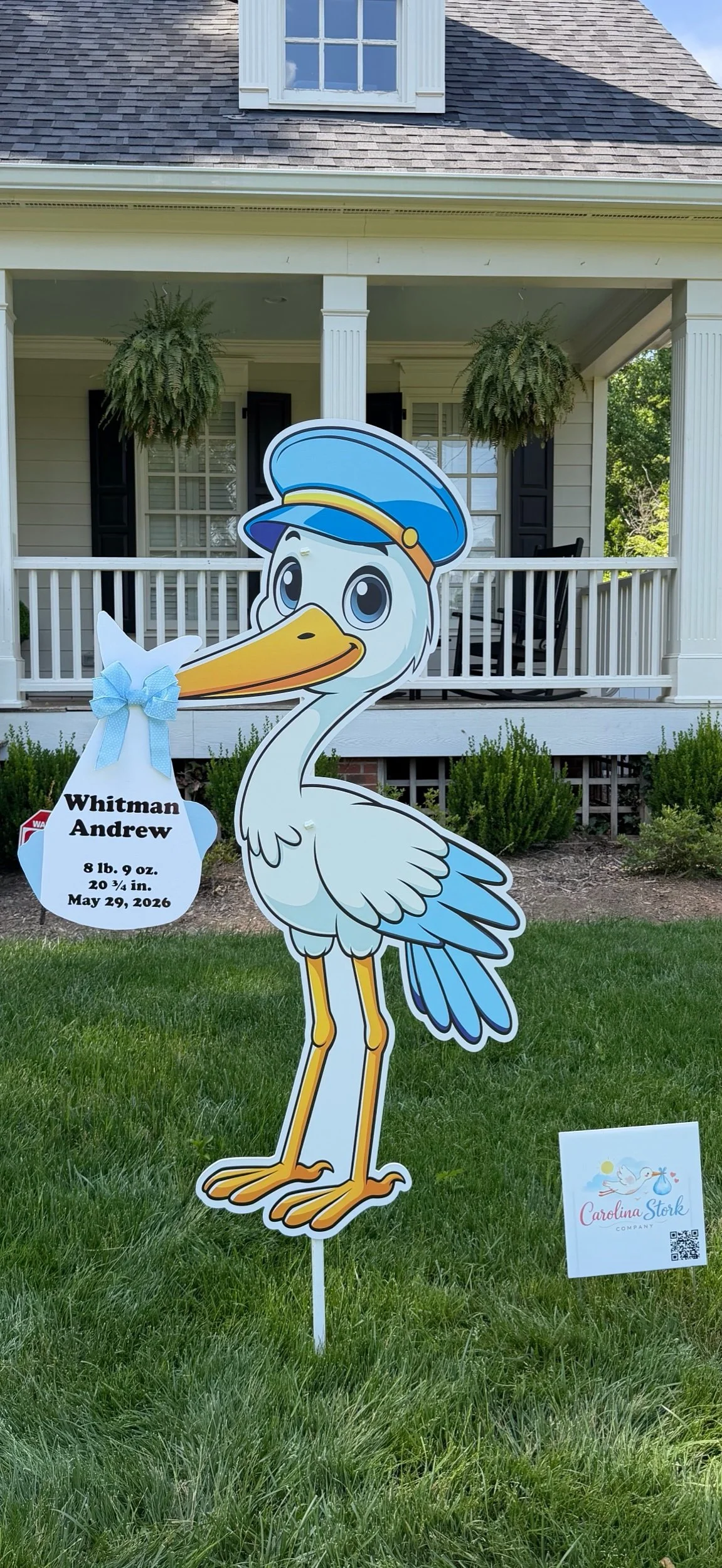 Personalized Stork Announcement Package