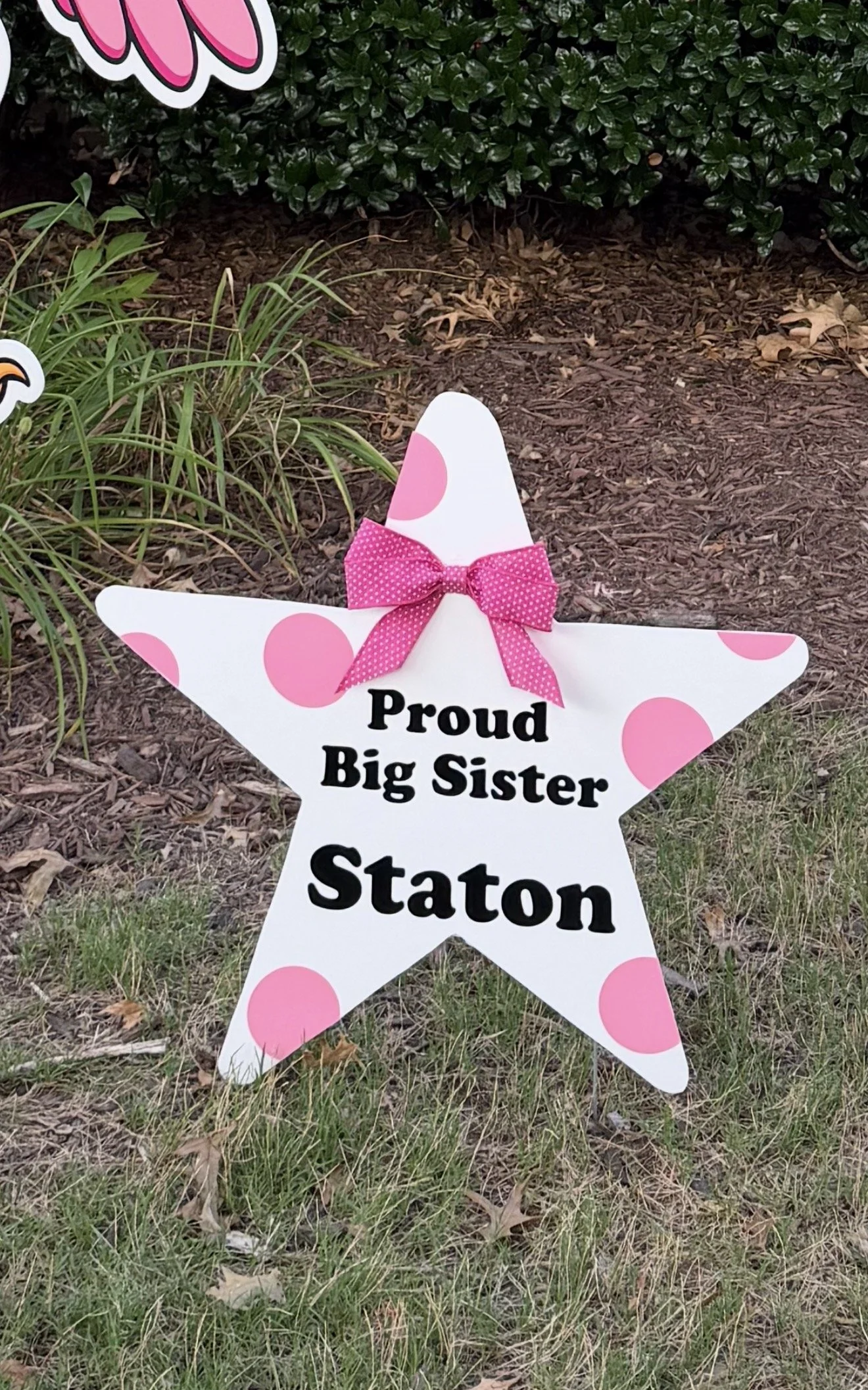 Big Sibling Star