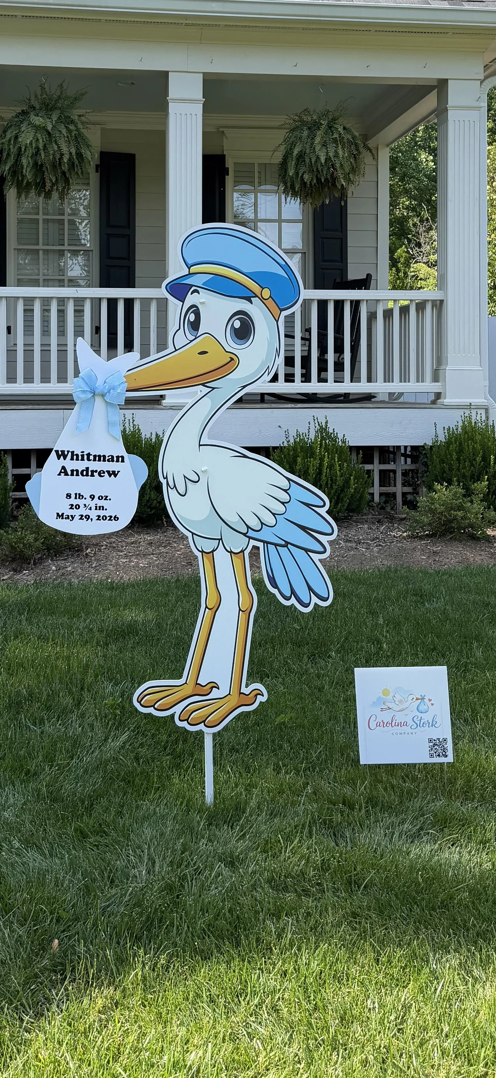 boy stork whitman.jpg