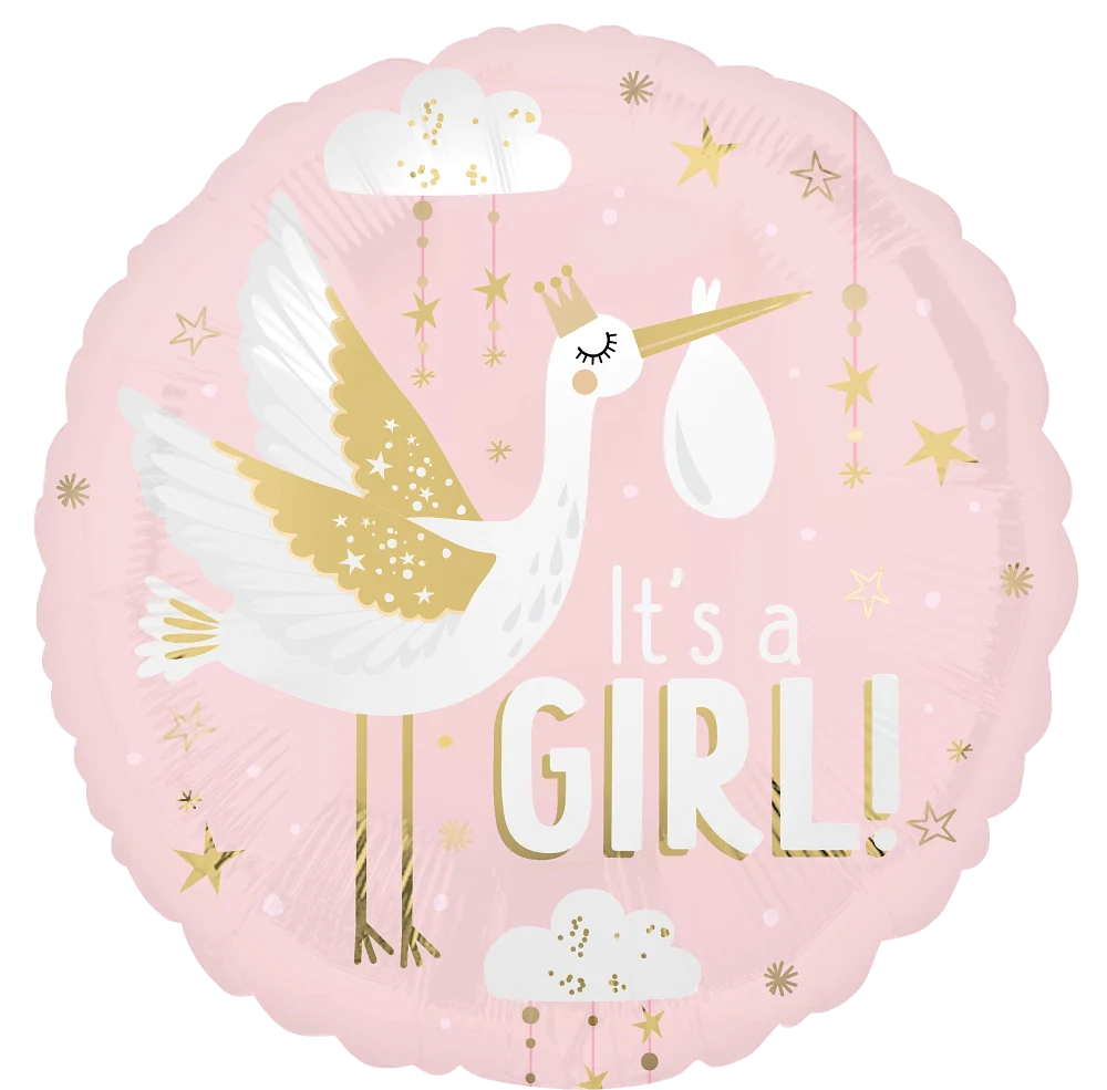 BargainBalloons_files_46970-18-Inches-Satin-Special-Delivery-Baby-Girl-Foil-46970-01-balloons_63280a01-8037-429e-867b-676c8b966670.webp