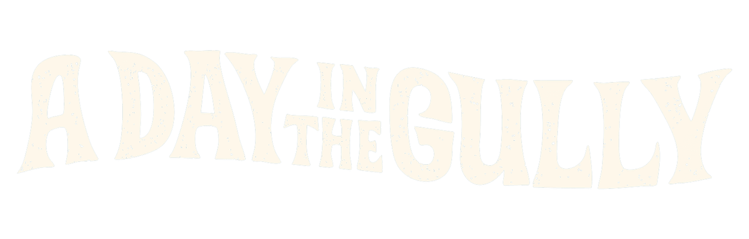 Stylized text reading "A Day in the Galaxy" with a distressed look on a transparent background.