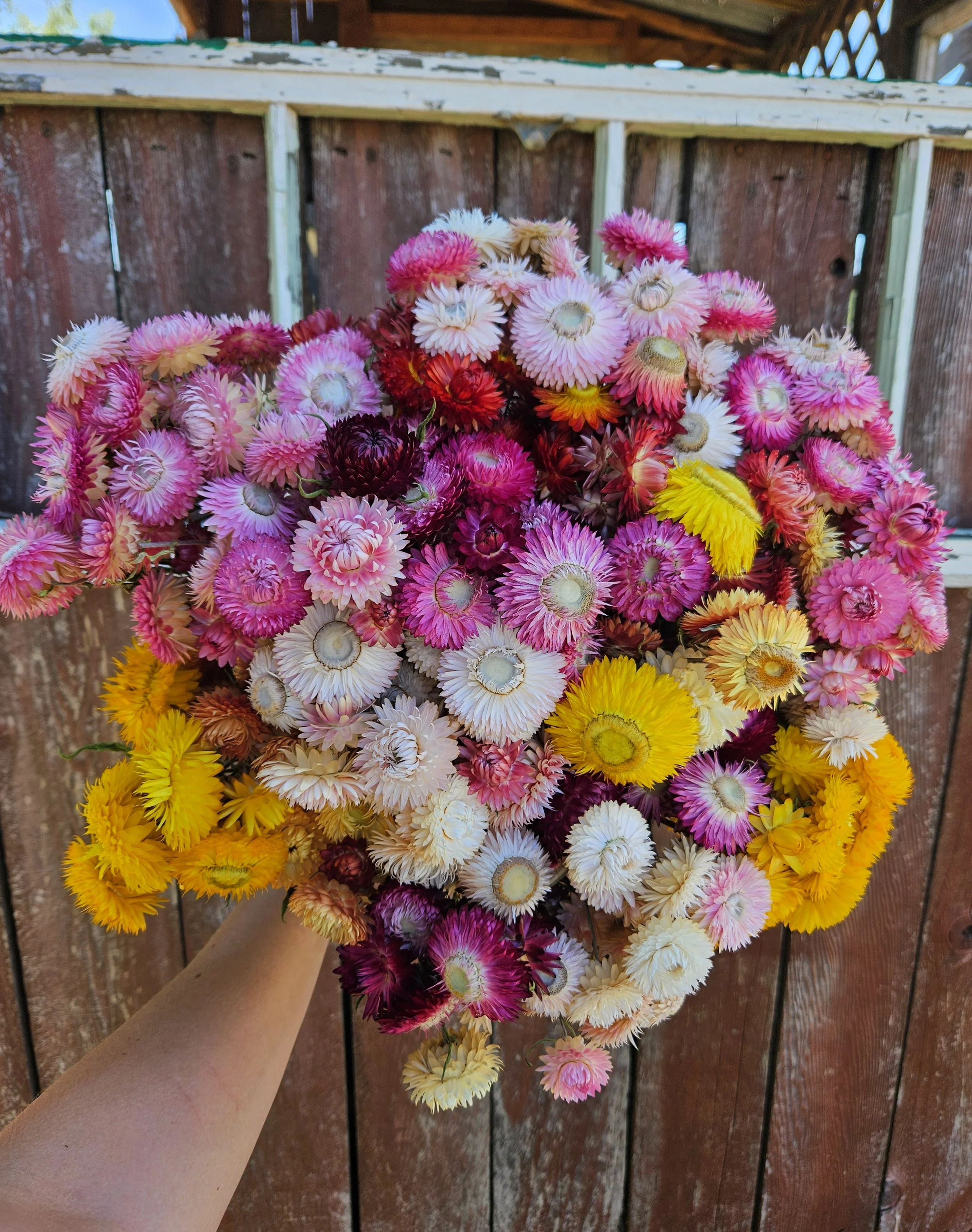 Milwaukie Farmers Market