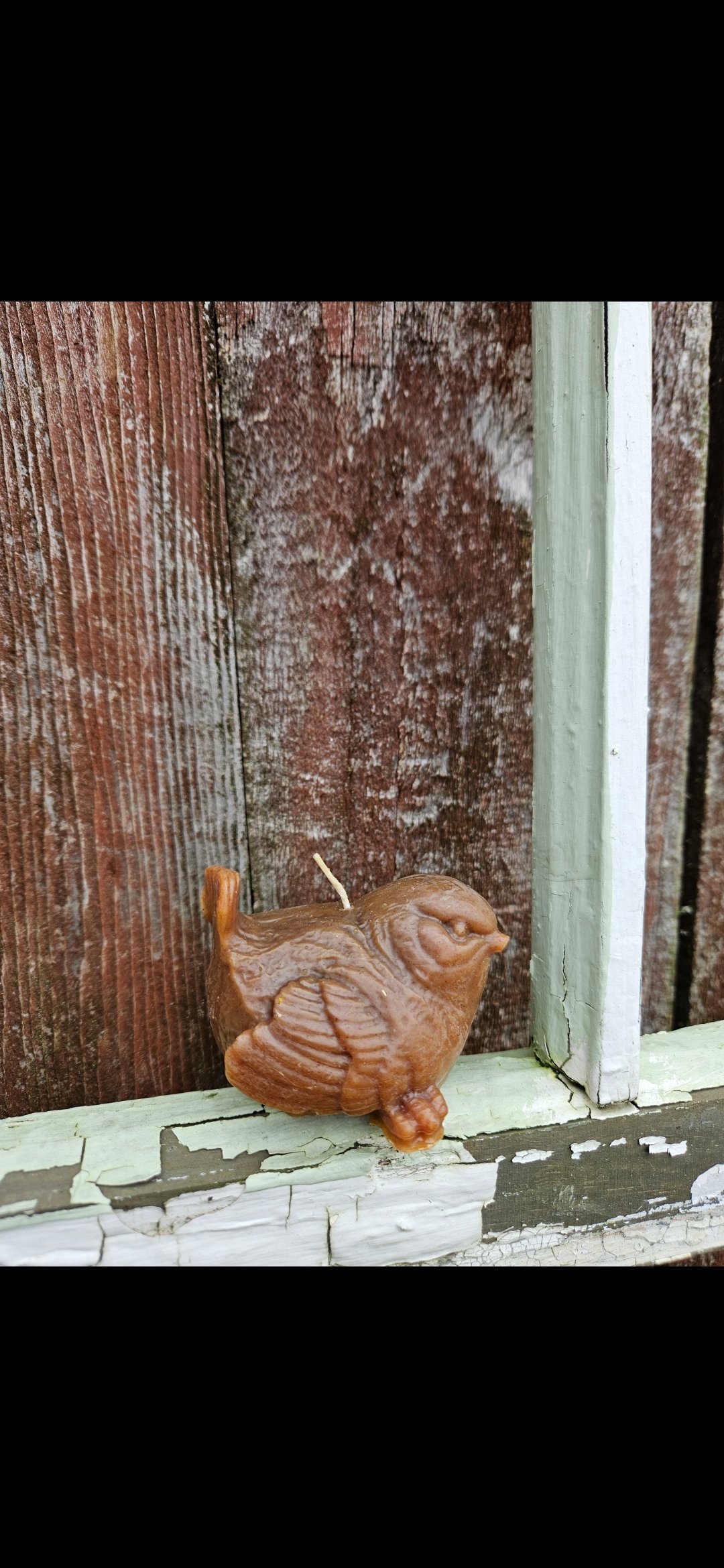 Beeswax Bird Candle