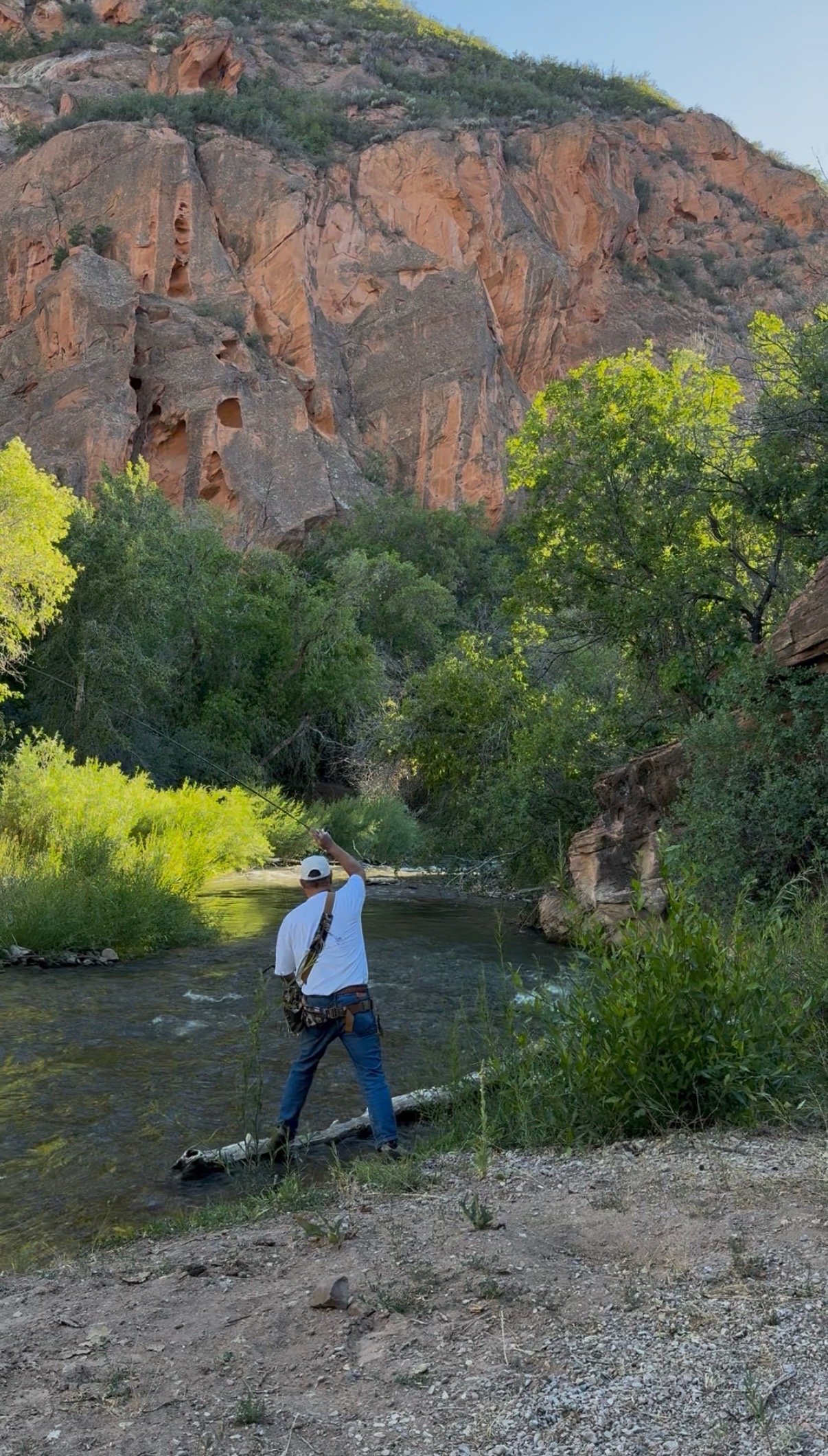 A person in a white shirt and blue jeans fishing in a creek surrounded by green trees and large rocks, with a mountain with reddish rock formations in the background.
