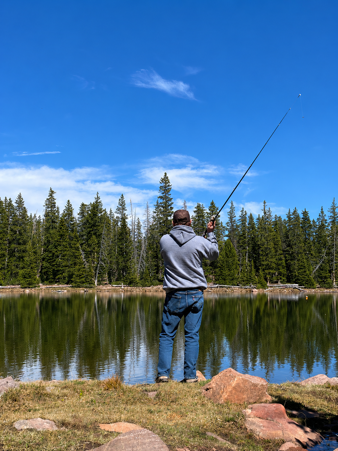 Person fishing at a lake with a forest background on a clear day.
