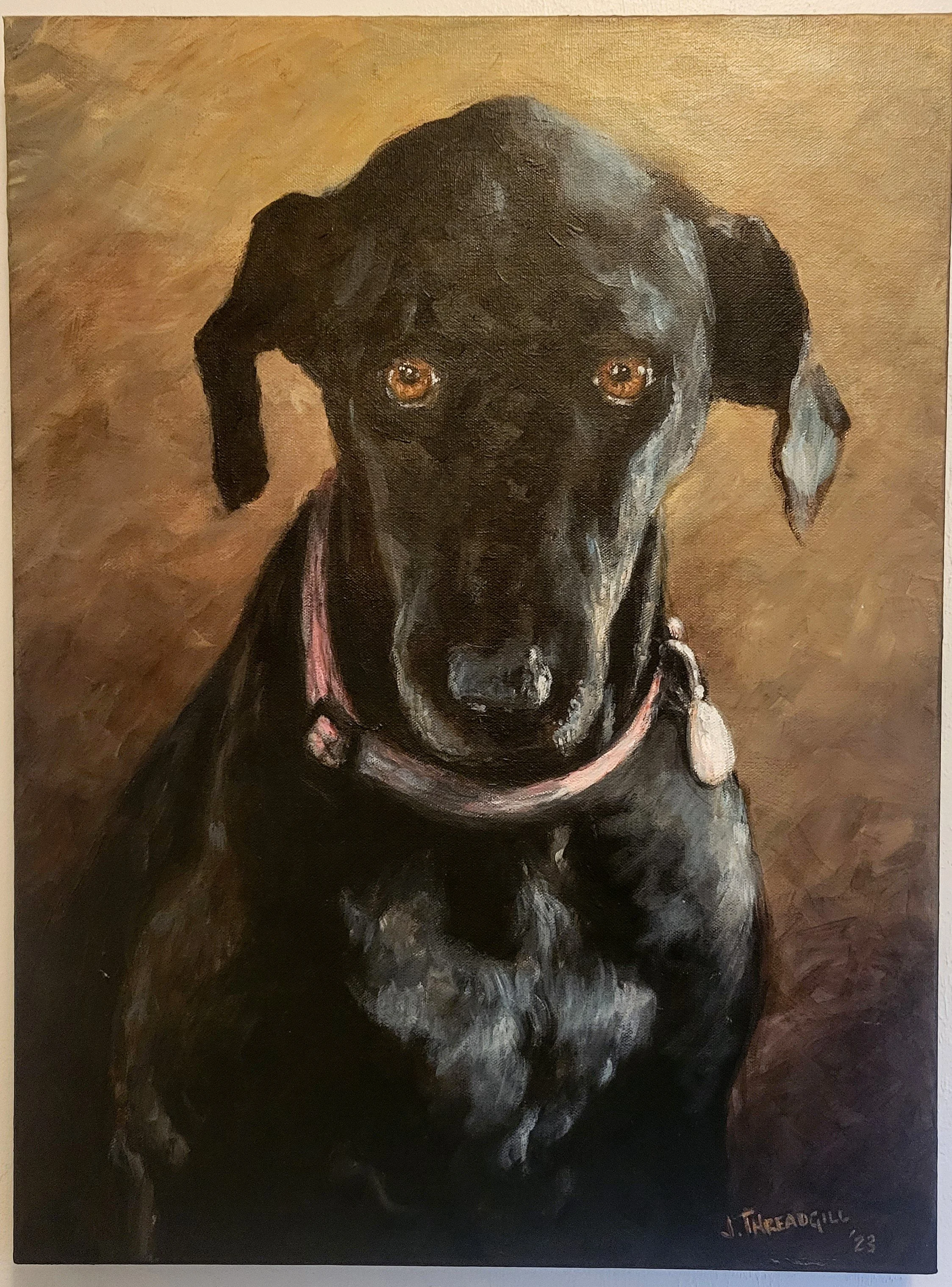 Sammy